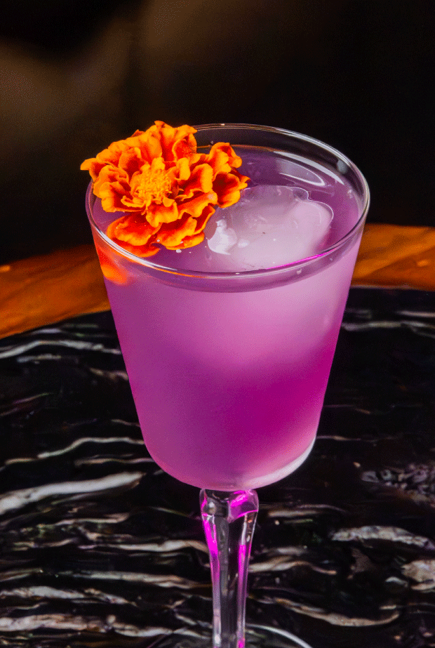 cocteles4
